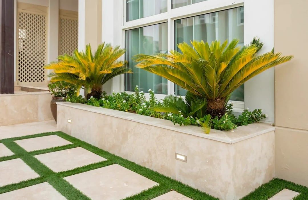 whatsapp image 2026 01 07 at 10.59.32 pm (1)